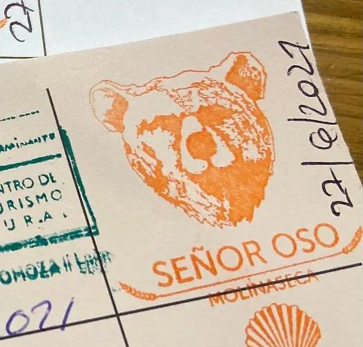 Senor Oso